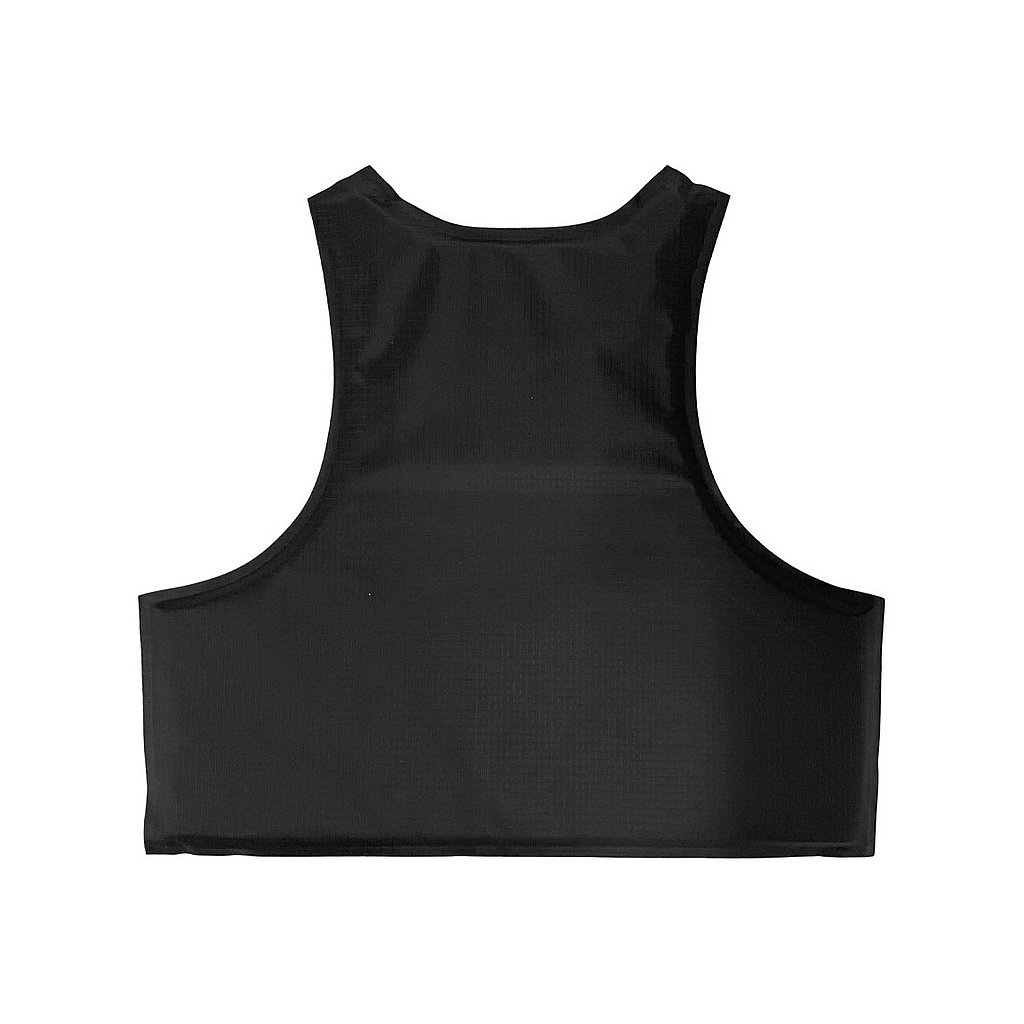 BALCS Armor Back Panel