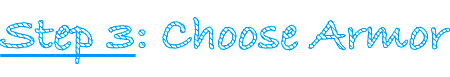 Step 3: Choose Armor