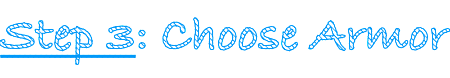 Step 3: Choose Armor